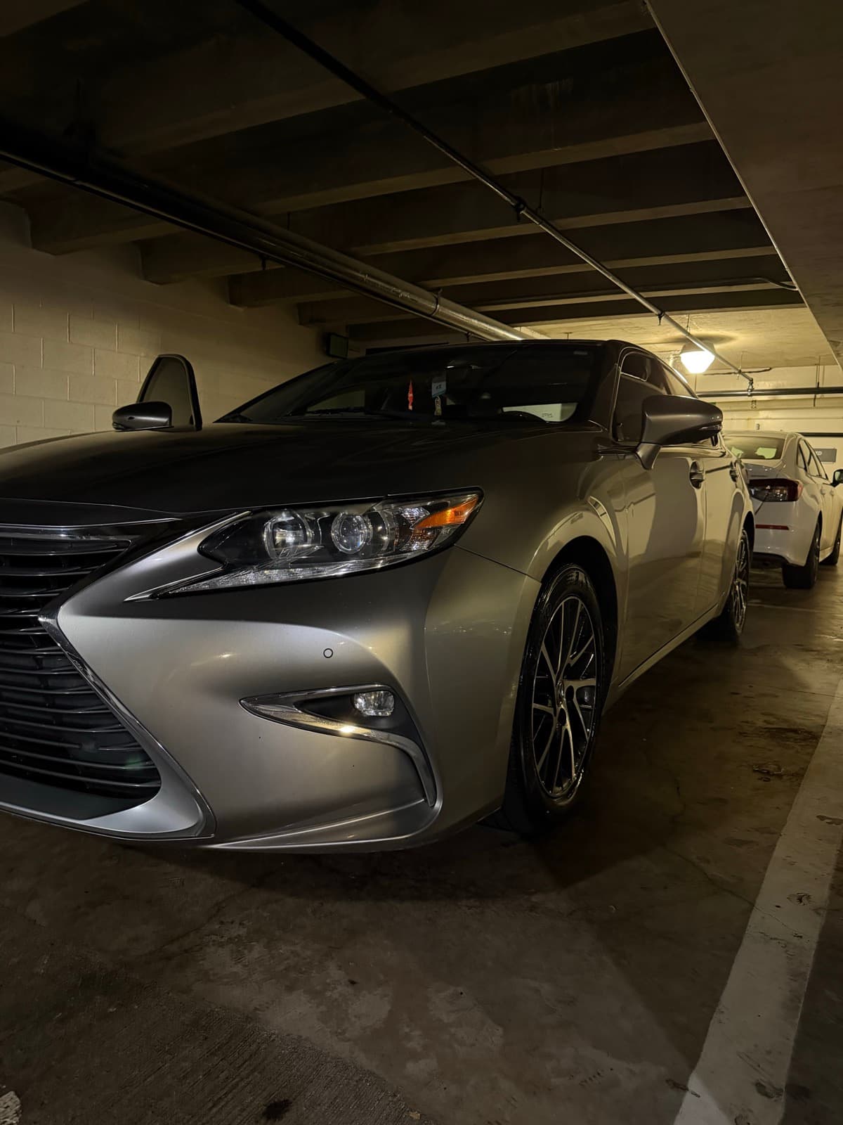 Silver Lexus sedan exterior detail — Honolulu parking structure, Oahu Hawaii